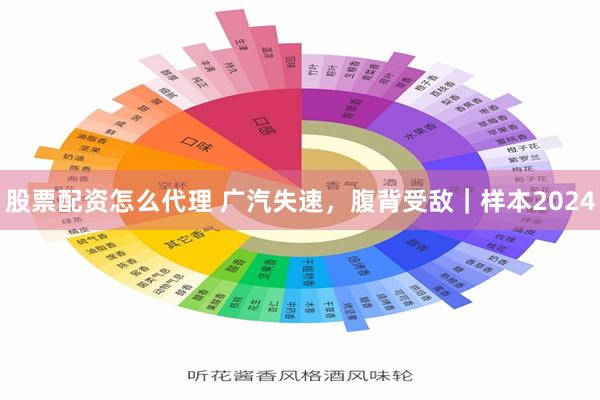 股票配资怎么代理 广汽失速，腹背受敌｜样本2024