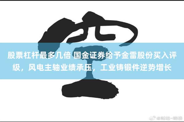 股票杠杆最多几倍 国金证券给予金雷股份买入评级，风电主轴业绩承压，工业铸锻件逆势增长