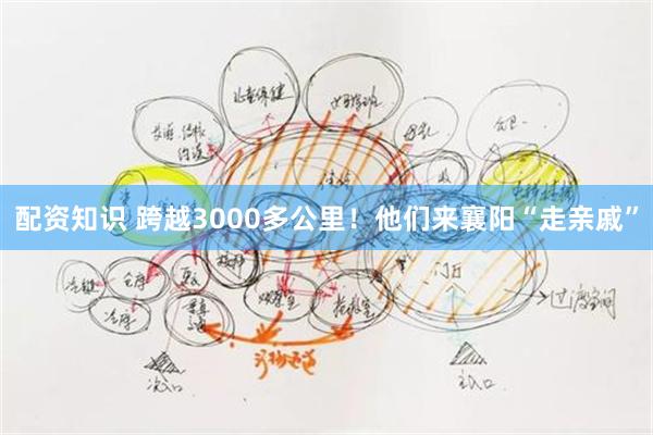 配资知识 跨越3000多公里！他们来襄阳“走亲戚”