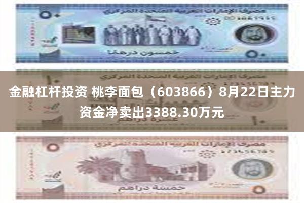 金融杠杆投资 桃李面包（603866）8月22日主力资金净卖出3388.30万元