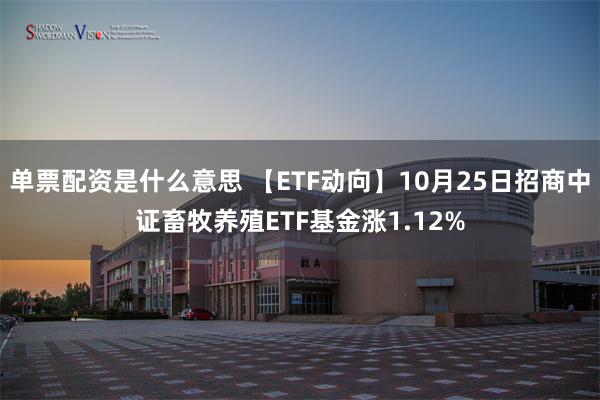 单票配资是什么意思 【ETF动向】10月25日招商中证畜牧养殖ETF基金涨1.12%