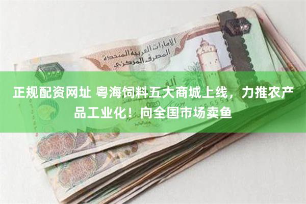 正规配资网址 粤海饲料五大商城上线，力推农产品工业化！向全国市场卖鱼