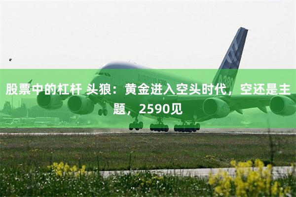 股票中的杠杆 头狼：黄金进入空头时代，空还是主题，2590见