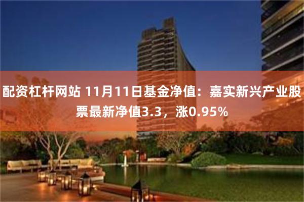 配资杠杆网站 11月11日基金净值：嘉实新兴产业股票最新净值3.3，涨0.95%