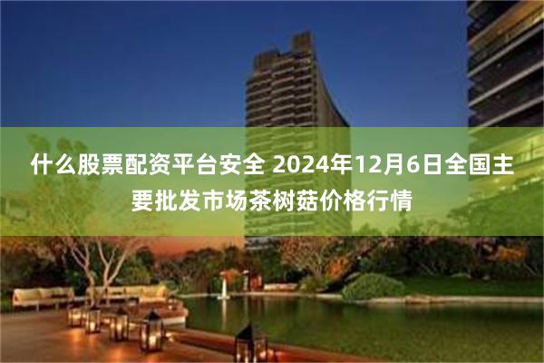 什么股票配资平台安全 2024年12月6日全国主要批发市场茶树菇价格行情