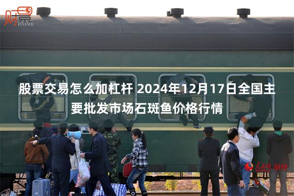 股票交易怎么加杠杆 2024年12月17日全国主要批发市场石斑鱼价格行情