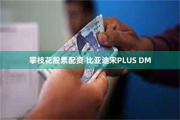 攀枝花股票配资 比亚迪宋PLUS DM