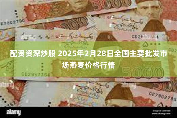 配资资深炒股 2025年2月28日全国主要批发市场燕麦价格行情